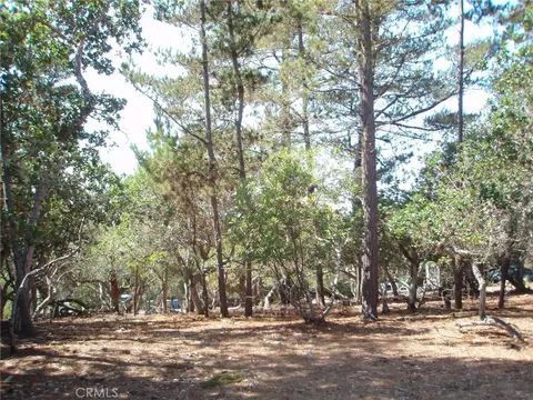 1865 Dreydon Ave, Cambria, CA 93428