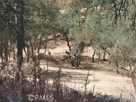 5129 Northfork, Paso Robles, CA 93446 photo 9