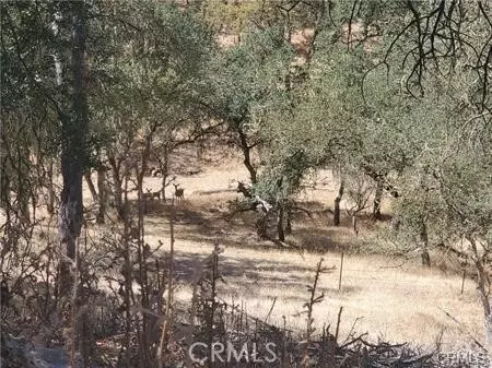 5129 Northfork, Paso Robles, CA 93446 photo 9