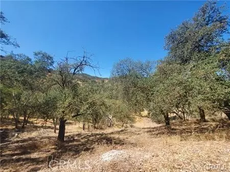 5129 Northfork, Paso Robles, CA 93446 photo 5
