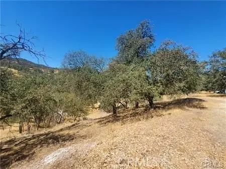5129 Northfork, Paso Robles, CA 93446 photo 7