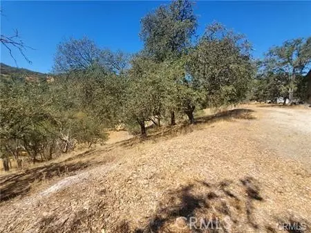 5129 Northfork, Paso Robles, CA 93446 photo 6