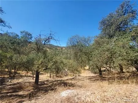 5129 Northfork, Paso Robles, CA 93446 photo 5