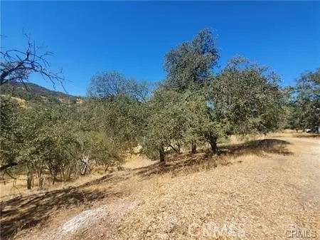 5129 Northfork, Paso Robles, CA 93446 photo 7