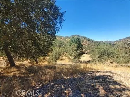 5129 Northfork, Paso Robles, CA 93446 photo 10