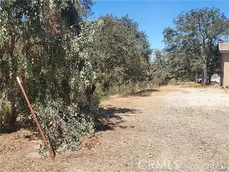 5129 Northfork, Paso Robles, CA 93446 photo 4