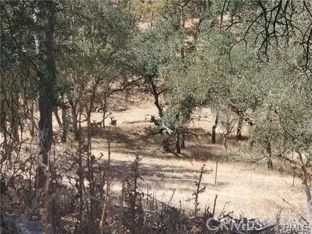 5129 Northfork, Paso Robles, CA 93446 photo 9