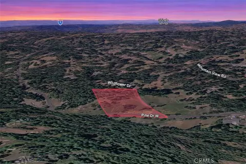 25700 Wildflower Dr, Pioneer, CA 95689