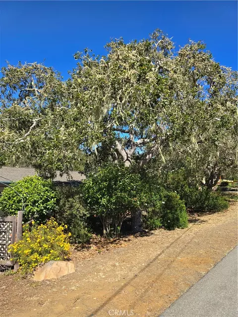 2300 Pineridge Dr, Cambria, CA 93428 photo 37