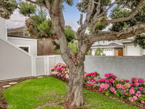 Exterior - 3080 Studio, Cayucos, CA 93430 photo 10 of 10