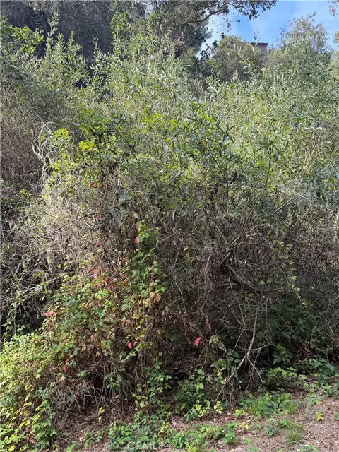 0 Sheffield St, Cambria, CA 93428 photo 2