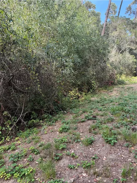 0 Sheffield St, Cambria, CA 93428 photo 3