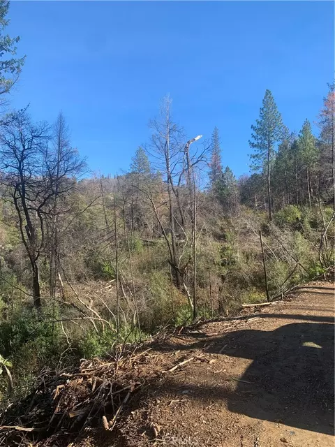 0 Four Trees Rd, Concow, CA 95965 photo 8