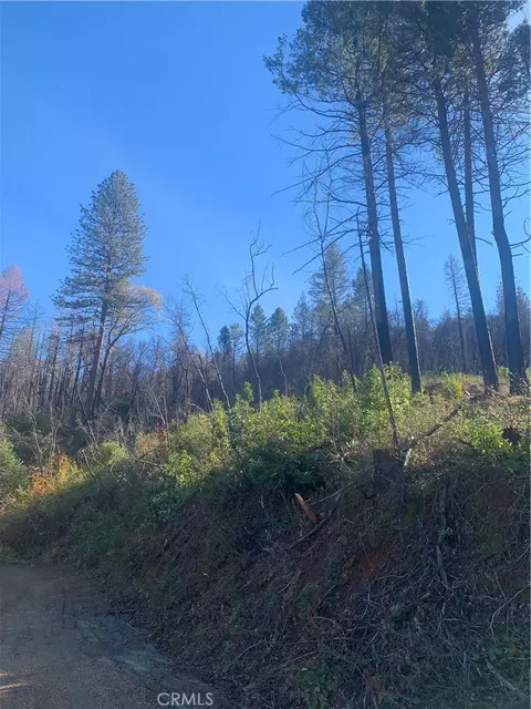 0 Four Trees Rd, Concow, CA 95965 photo 7