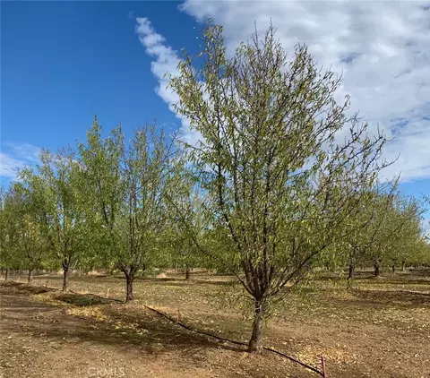 Other - 22085 Finnell, Corning, CA 96021 photo 15 of 20