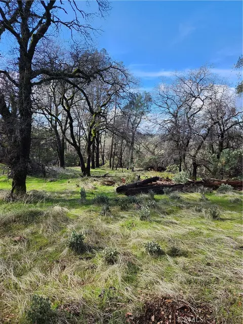 4 Oregon Gulch, Cherokee, CA 95965 photo 10
