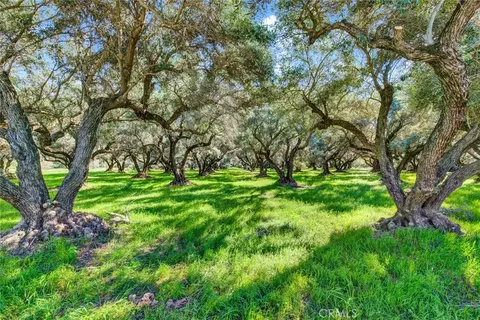 23580 Loleta, Corning, CA 96021 photo 63