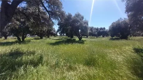 2915 S 99w, Corning, CA 96021 photo 19