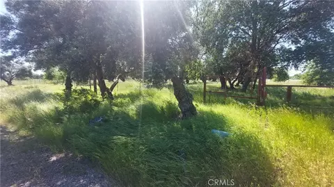 2915 S 99w, Corning, CA 96021 photo 15
