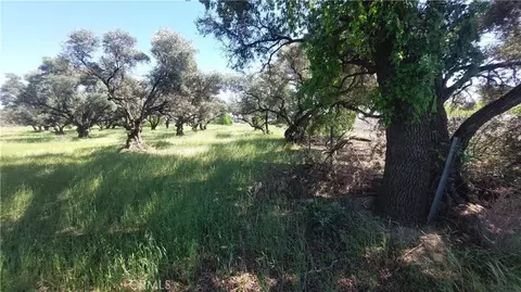2915 S 99w, Corning, CA 96021 photo 36