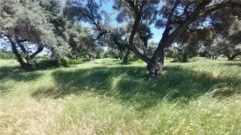 2915 S 99w, Corning, CA 96021 photo 31