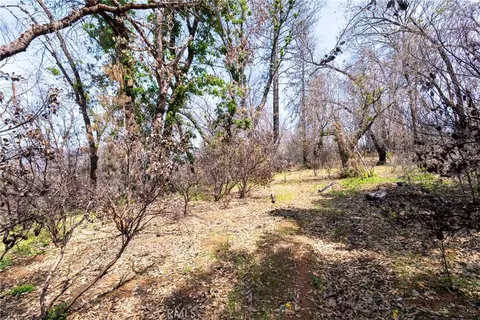 0 Toll Gate Way, Forest Ranch, CA 95942 photo 26