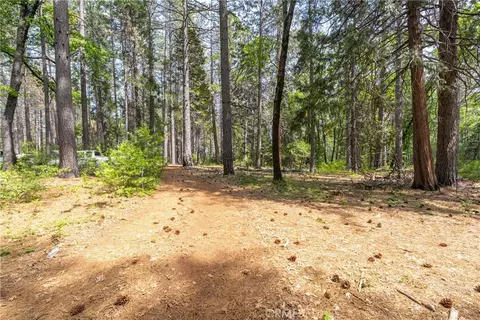0 Scotty Ln, Forest Ranch, CA 95942 photo 15