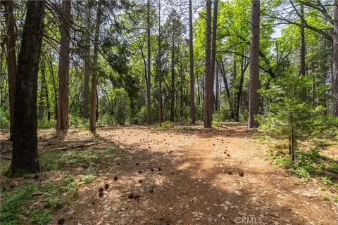 0 Scotty Ln, Forest Ranch, CA 95942 photo 16