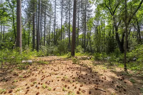 0 Scotty Ln, Forest Ranch, CA 95942 photo 21