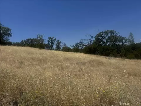 6915 Remunda Rd, Corning, CA 96021 photo 5