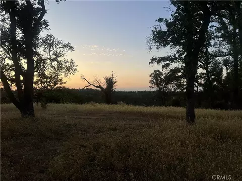6915 Remunda Rd, Corning, CA 96021 photo 9