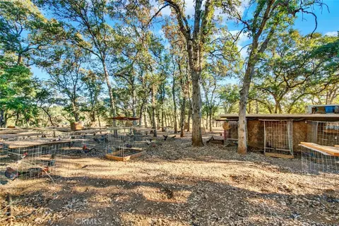 14721 Nevis, Red Bluff, CA 96080 photo 44