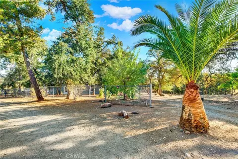 14721 Nevis, Red Bluff, CA 96080 photo 9