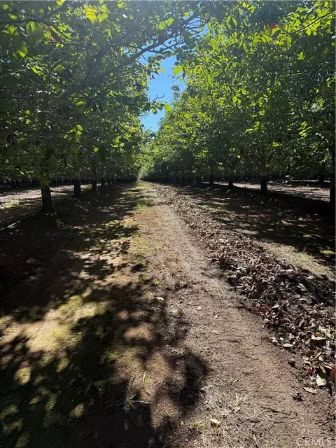 0 Rawson Rd, Gerber, CA 96035 photo 18