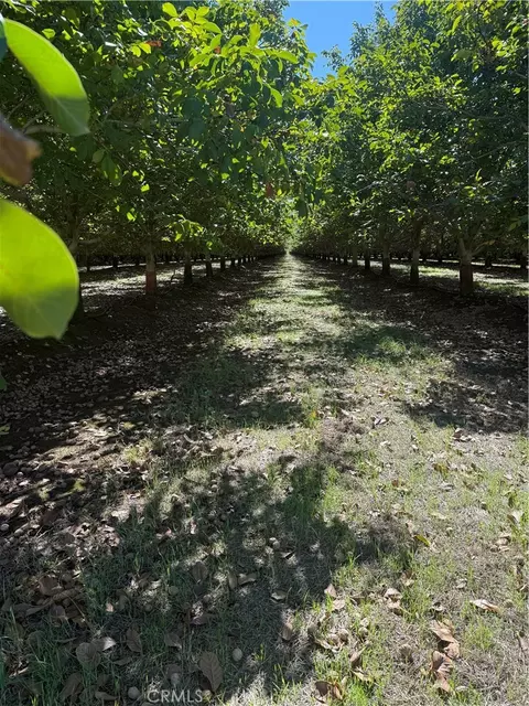 0 Rawson Rd, Gerber, CA 96035 photo 19