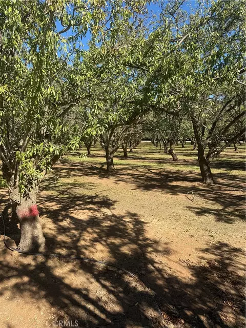 0 Rawson Rd, Gerber, CA 96035 photo 15