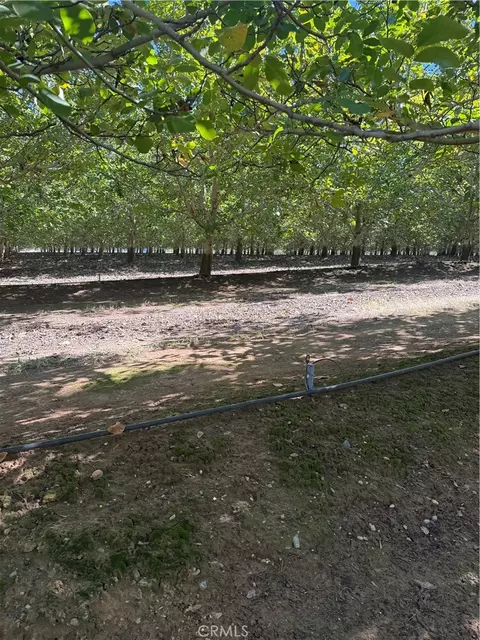 0 Rawson Rd, Gerber, CA 96035 photo 17
