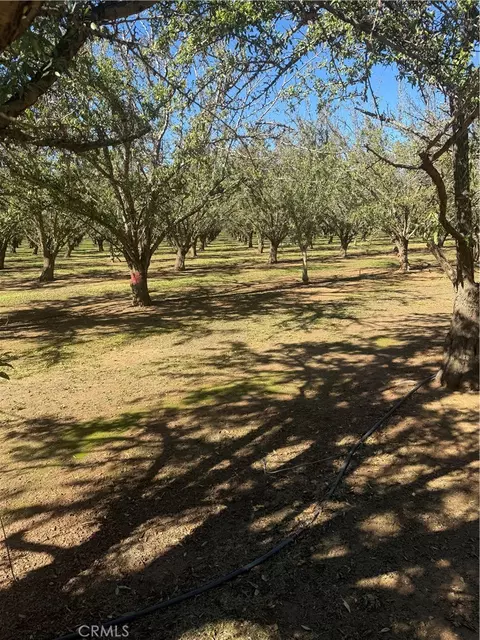 0 Rawson Rd, Gerber, CA 96035 photo 16