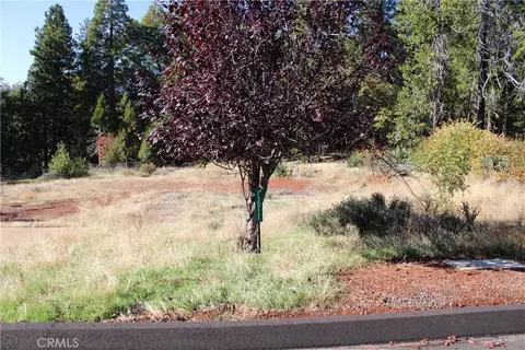 13911 Cluster Ct, Magalia, CA 95954