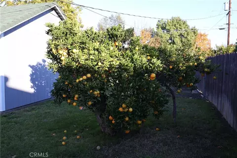 Exterior - 1311 6th Ave, Corning, CA 96021 photo 18 of 20