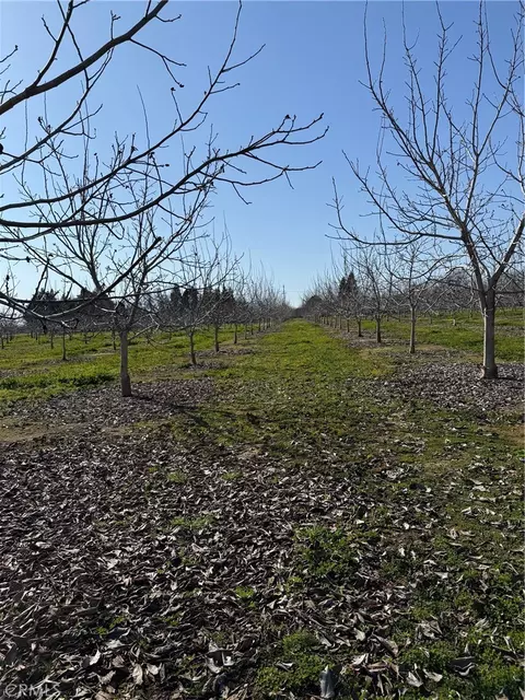0 Mcfadden Ln, Chico, CA 95928 photo 9