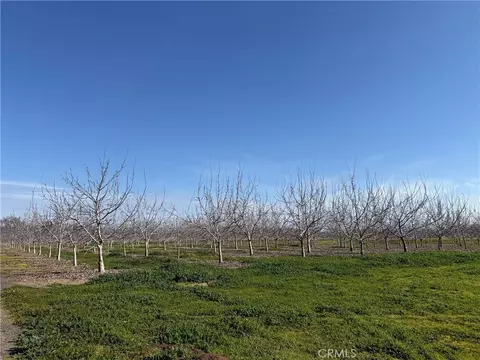 0 Mcfadden Ln, Chico, CA 95928 photo 5