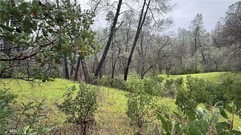 16370 Oakridge Rd, Corning, CA 96021 photo 6