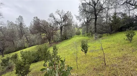 16370 Oakridge Rd, Corning, CA 96021 photo 4
