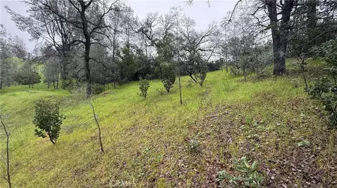 16370 Oakridge Rd, Corning, CA 96021 photo 5