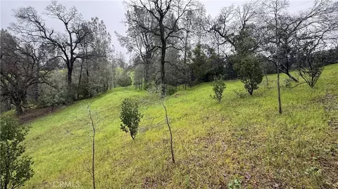16370 Oakridge Rd, Corning, CA 96021 photo 7