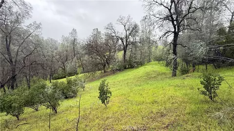 16370 Oakridge Rd, Corning, CA 96021