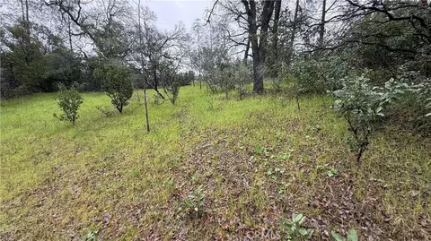 16370 Oakridge Rd, Corning, CA 96021 photo 8