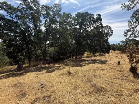 16318 Longhorn Ln, Corning, CA 96021 photo 3