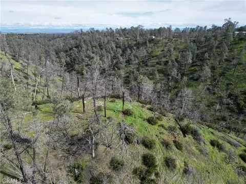 7074 Sugar Pine Ct, Corning, CA 96021 photo 12